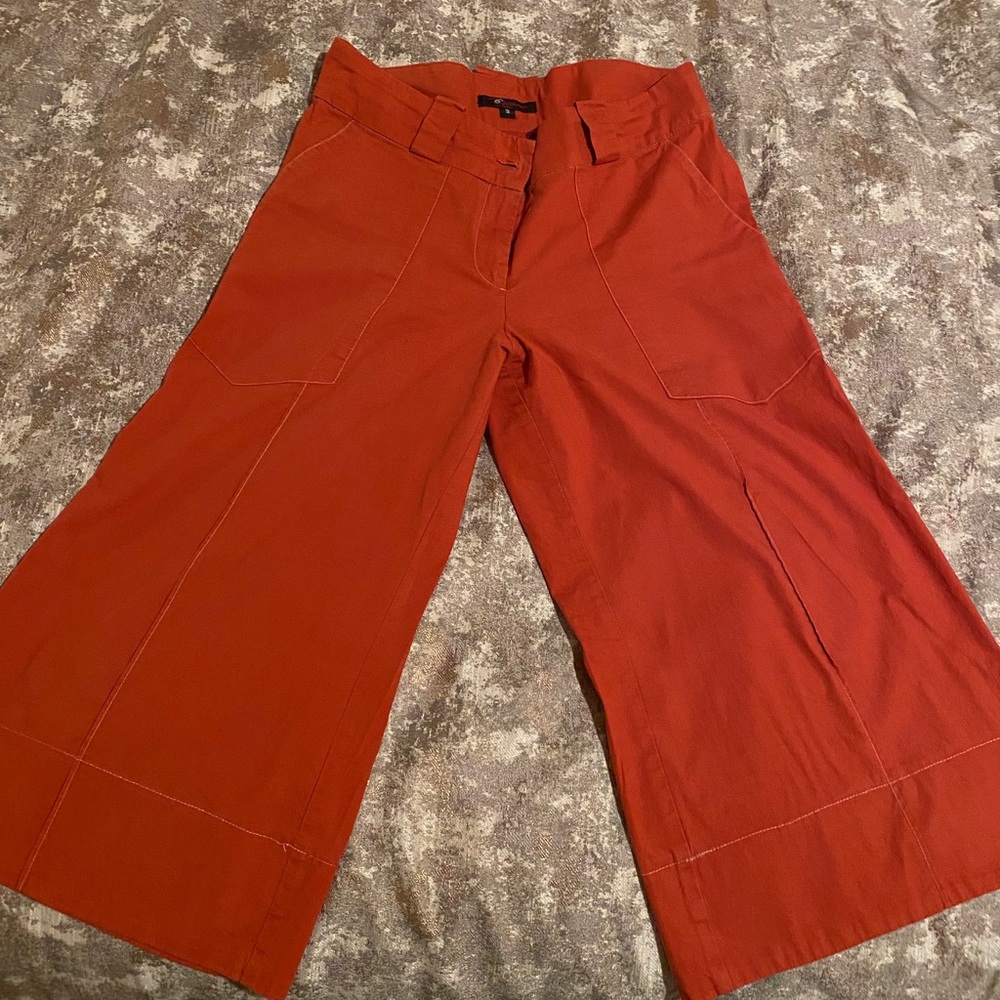 Dress Capris size 3